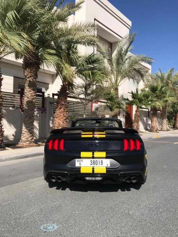 Ford Mustang V8 cabrio (Black), 2020