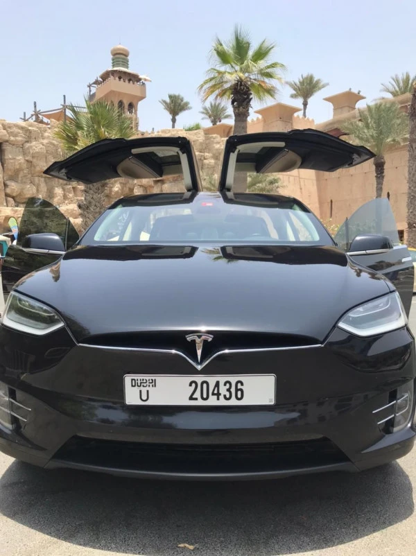 Tesla Model X (Black), 2017