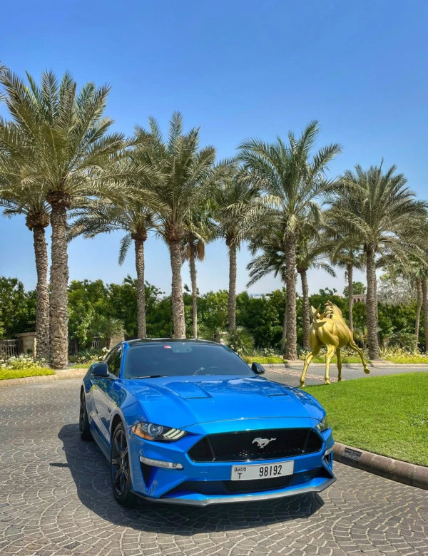 Ford Mustang GT Premium V8 (Blue), 2020