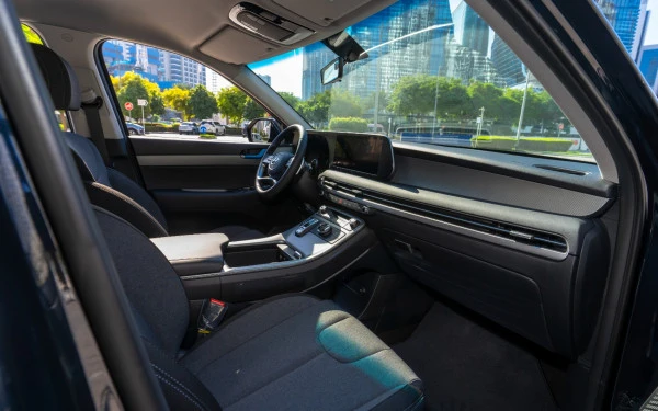 Hyundai Palisade (Black), 2025