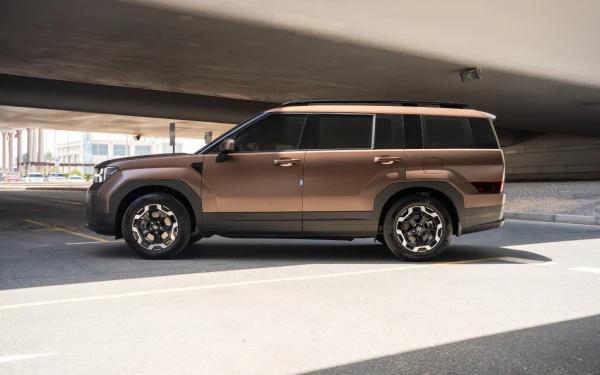 Hyundai Santa Fe (Brown), 2025