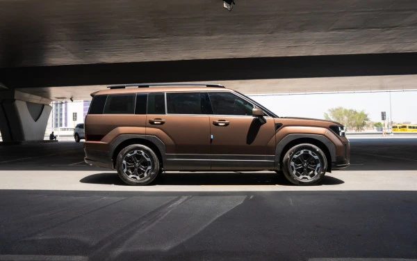 Hyundai Santa Fe (Brown), 2025
