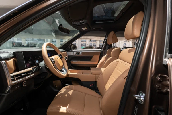Hyundai Santa Fe (Brown), 2025