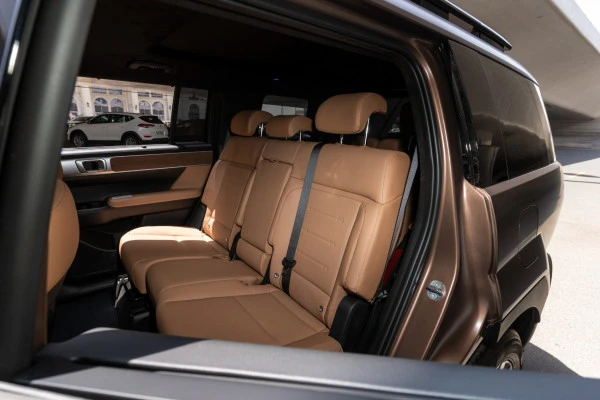 Hyundai Santa Fe (Brown), 2025
