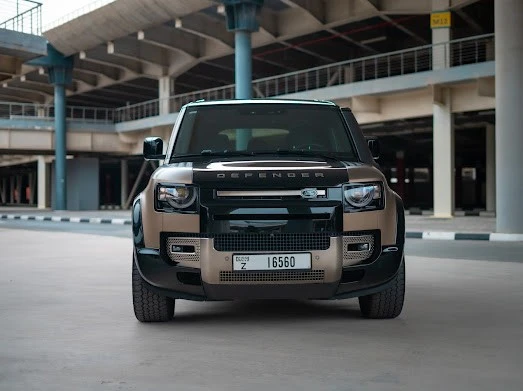 Range Rover Defender V6 X (Braun), 2021