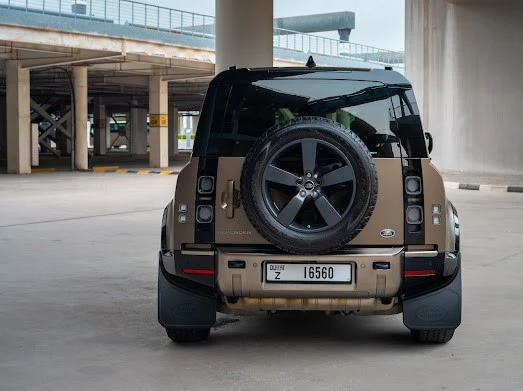 Range Rover Defender V6 X (Braun), 2021