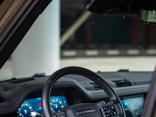 Range Rover Defender V6 X (Braun), 2021