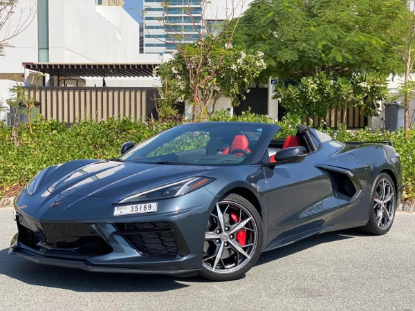 Chevrolet Corvette Spyder (Grey), 2021