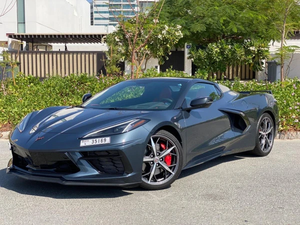 Chevrolet Corvette Spyder (Grey), 2021