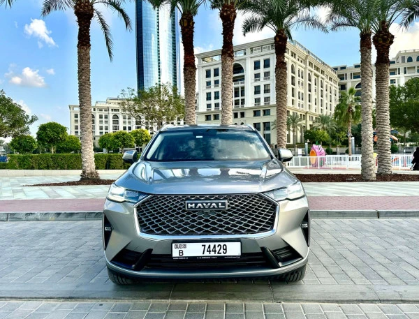 Haval H6 (Grey), 2024
