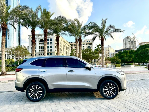 Haval H6 (Grey), 2024