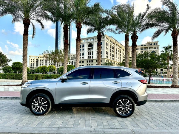 Haval H6 (Grey), 2024
