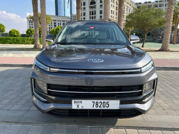 Jac S4 (Grey), 2024