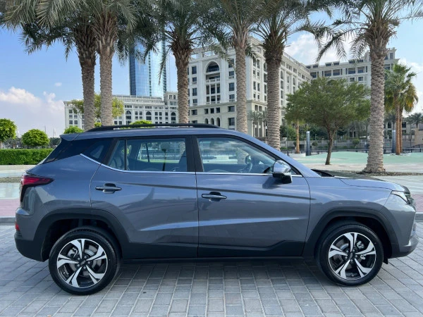 Jac S4 (Grey), 2024