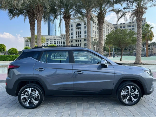 Jac S4 (Grey), 2024