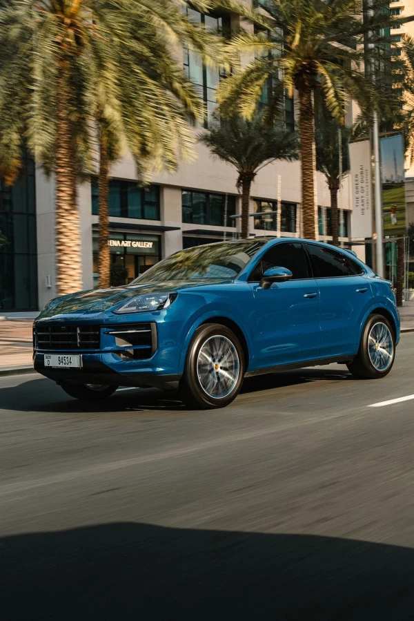 Porsche Cayenne (Grey), 2025