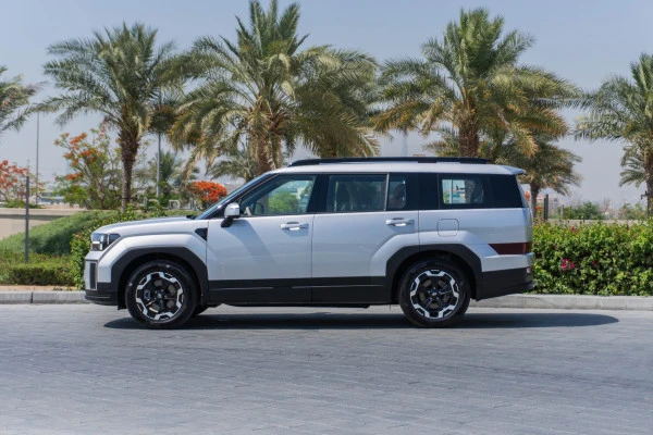 Hyundai Santa Fe (Argento), 2024
