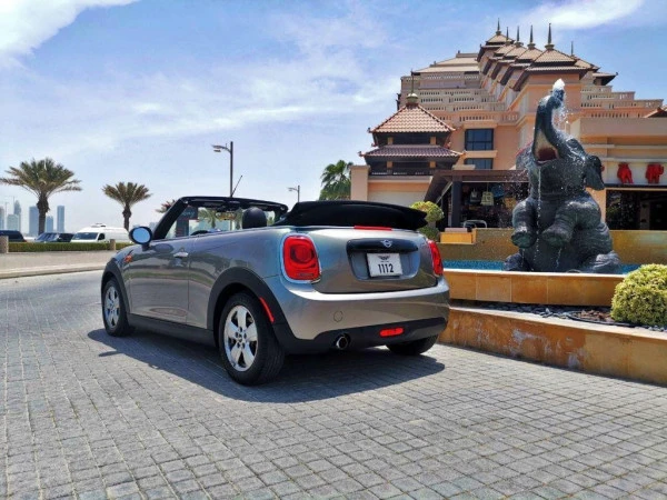 Mini Cooper cabrio (Silver), 2019