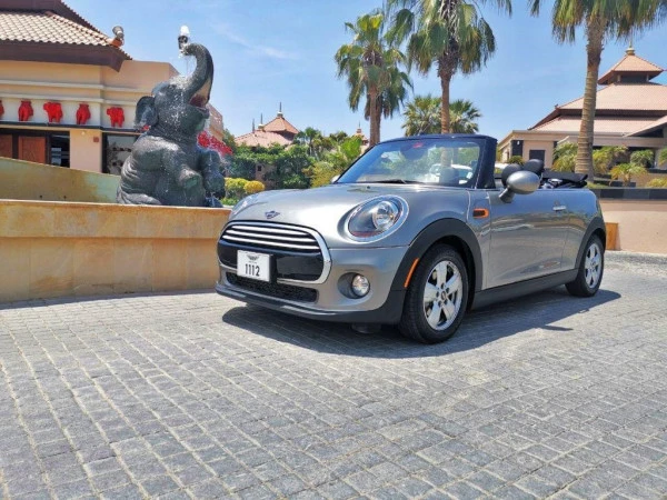 Mini Cooper cabrio (Silver), 2019