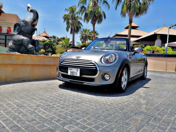 Mini Cooper cabrio (Silver), 2019