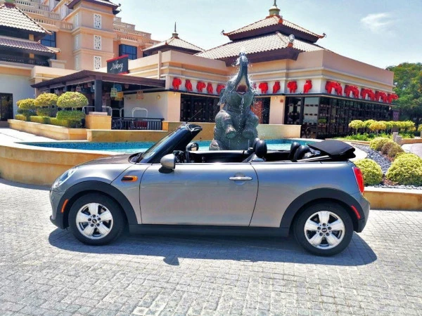 Mini Cooper cabrio (Silver), 2019