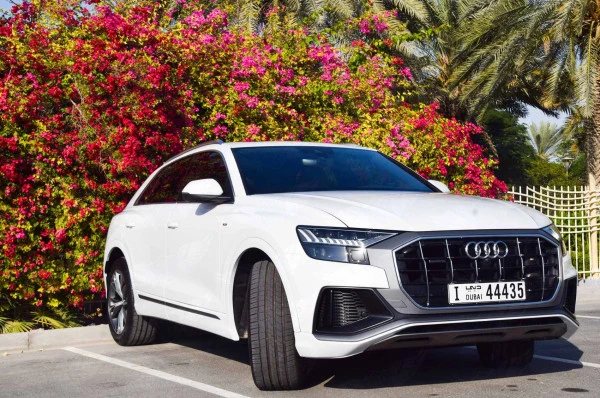 Audi Q8 (White), 2019