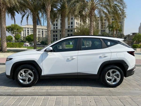 Hyundai Tucson (White), 2025