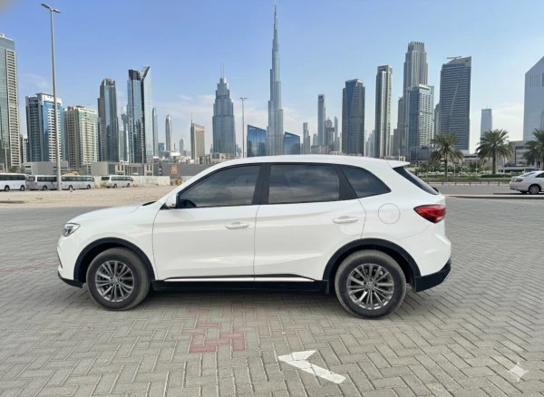 MG ZS PLUS (White), 2026