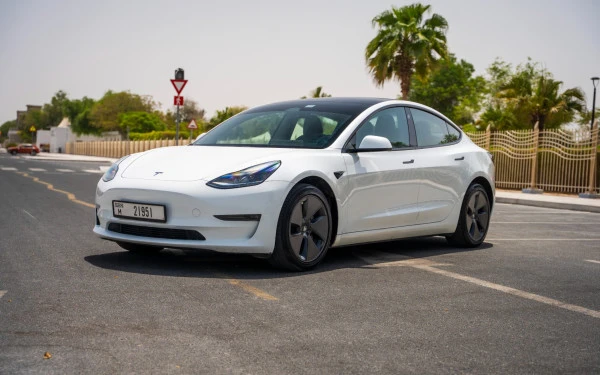 Tesla Model 3 (White), 2023
