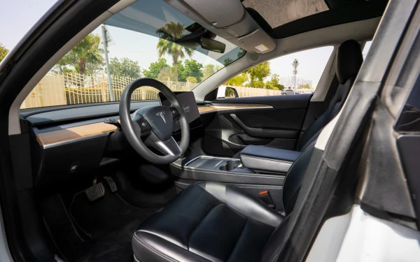 Tesla Model 3 (White), 2023