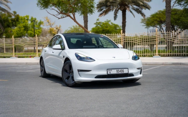 Tesla Model 3 (White), 2023