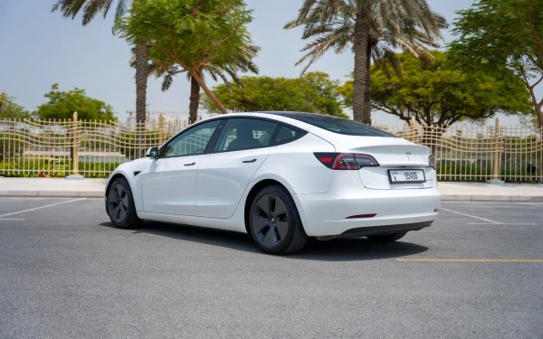 Tesla Model 3 (White), 2023