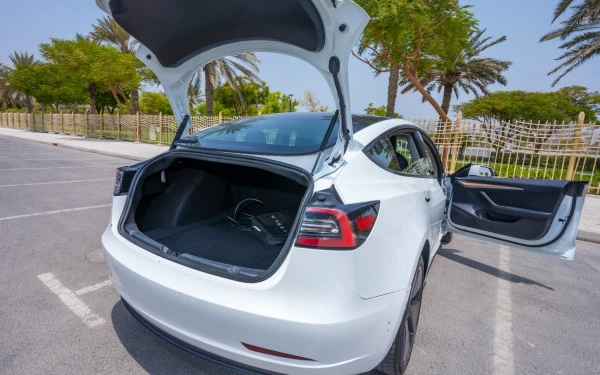 Tesla Model 3 (White), 2023