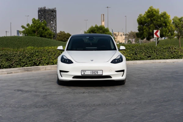 Tesla Model 3 (White), 2023