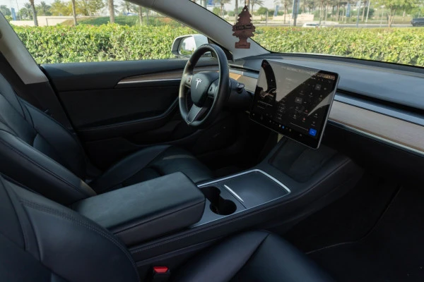 Tesla Model 3 (White), 2023