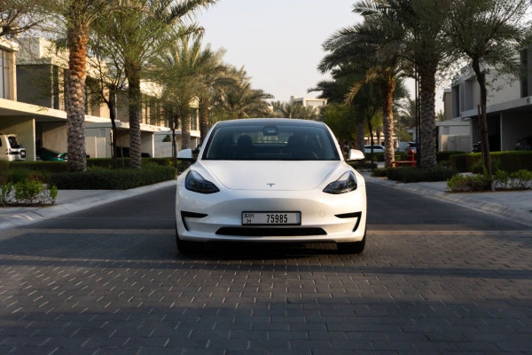 Tesla Model 3 (White), 2023