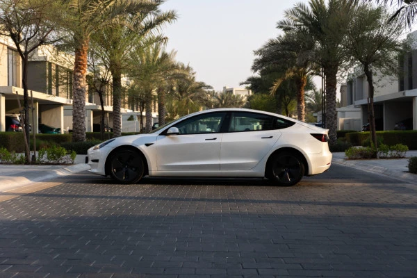 Tesla Model 3 (White), 2023