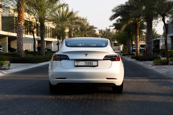 Tesla Model 3 (White), 2023