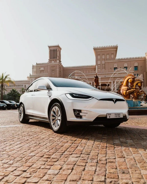 Tesla Model X (White), 2021