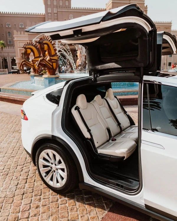 Tesla Model X (White), 2021