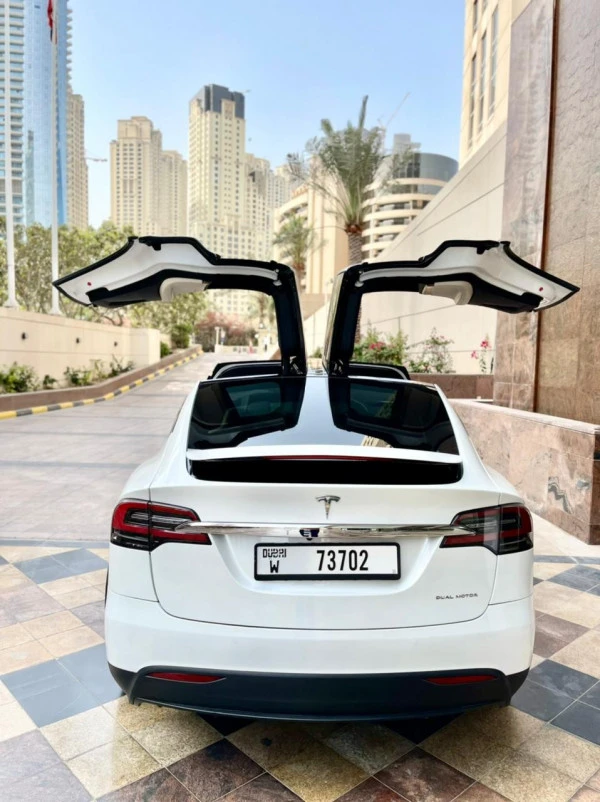 Tesla Model X (White), 2021