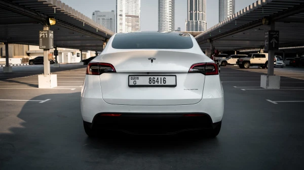 Tesla Model Y Long Range (White), 2022