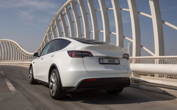 Tesla Model Y Long Range (White), 2022