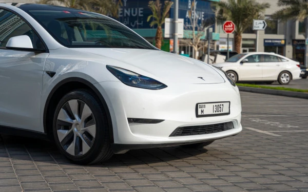Tesla Model Y Long Range (Белый), 2022