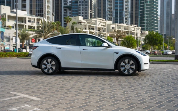 Tesla Model Y Long Range (Белый), 2022