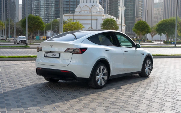 Tesla Model Y Long Range (Белый), 2022