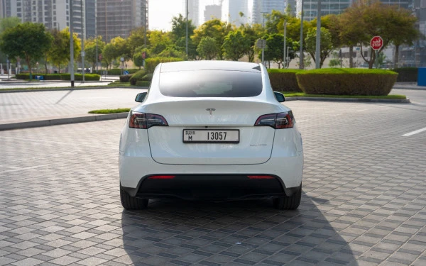 Tesla Model Y Long Range (Белый), 2022