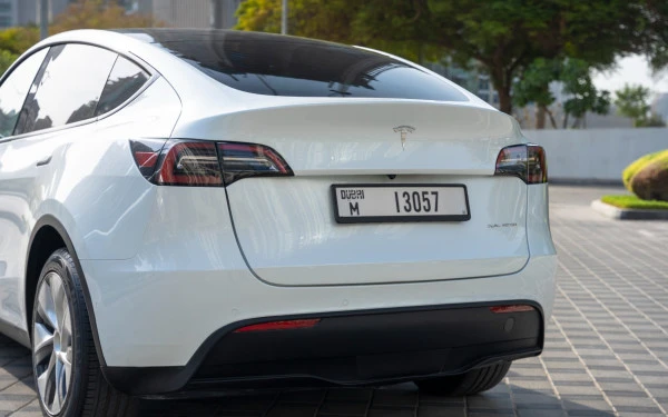 Tesla Model Y Long Range (Белый), 2022