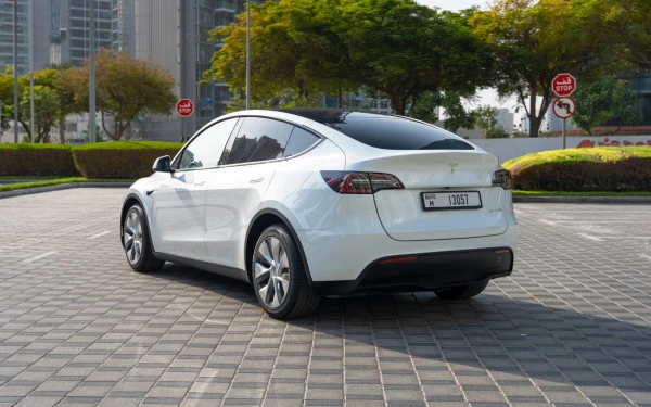 Tesla Model Y Long Range (Белый), 2022
