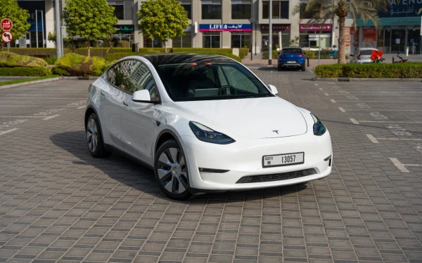 Tesla Model Y Long Range (Белый), 2022